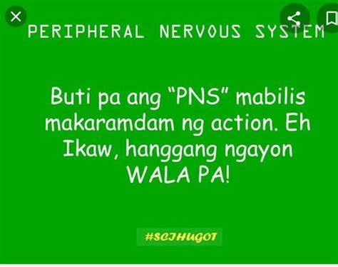 ‘Hugot’ system .